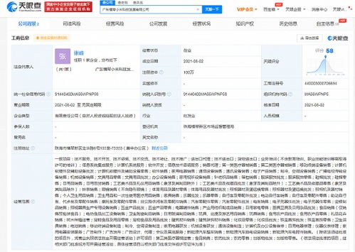 小米珠海橫琴新公司成立，跨界布局新能源汽車與數(shù)據(jù)處理服務